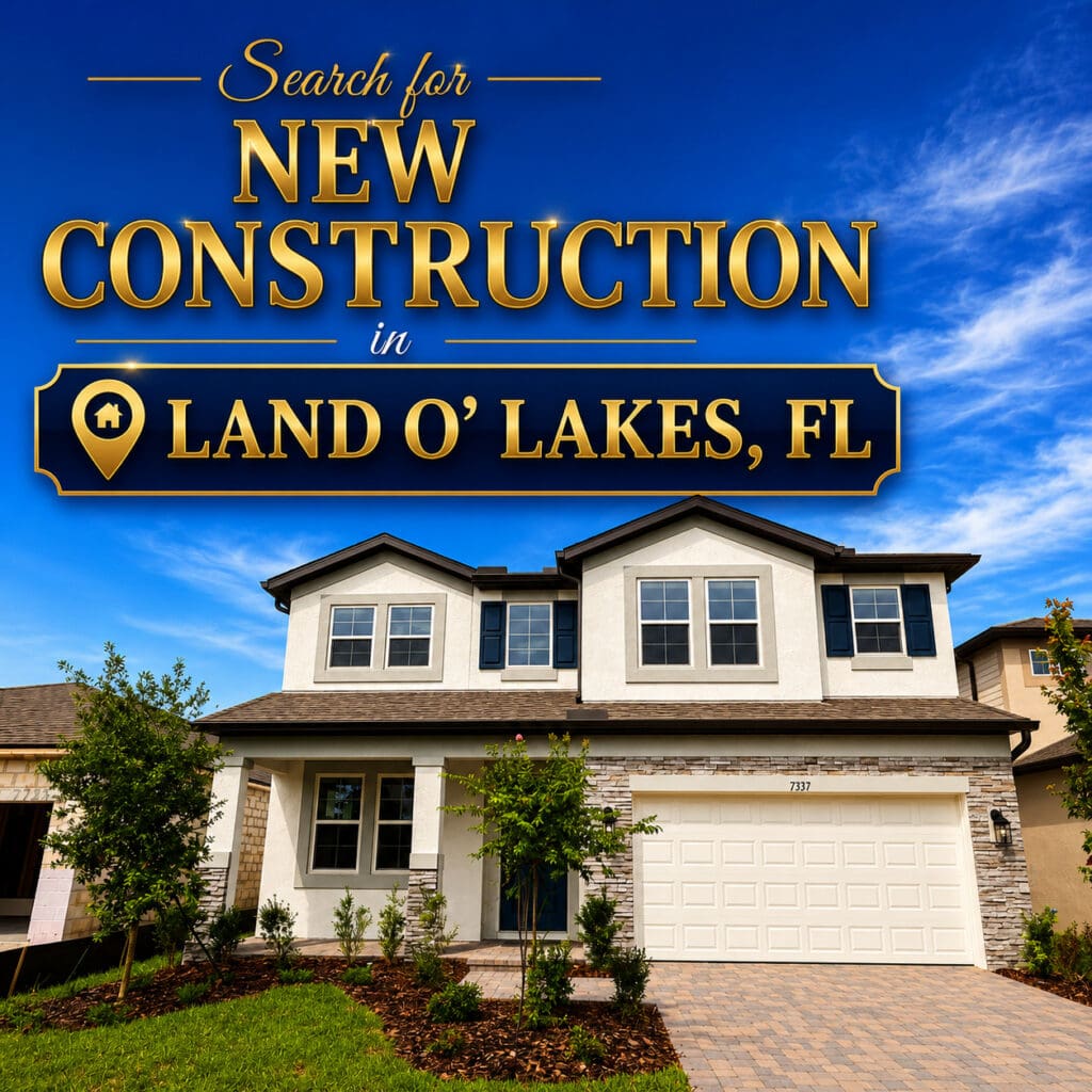 New construction home in Land O' Lakes, Florida featuring a modern two-story exterior, stone accents, landscaped yard, and two-car garage.